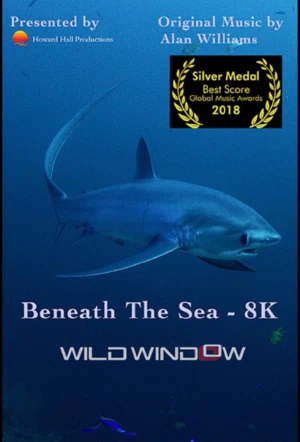 Wild Window: Beneath the Sea смотреть онлайн бесплатно